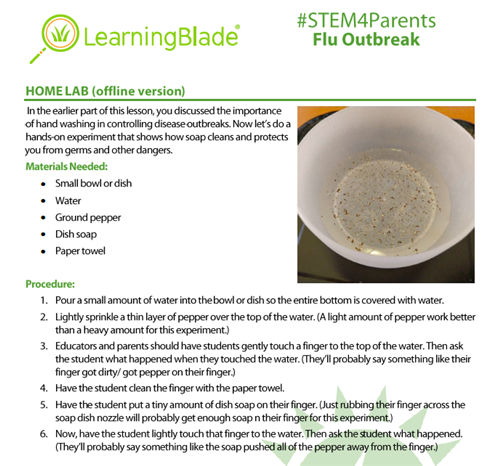 stem 6 